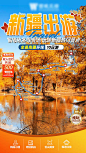 新疆秋季胡杨林旅游直播间背景-源文件分享-ywjfx.cn
