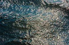 水,在下面,背景,纹理,天空,水平画幅,沙子,椰子,早晨,俄罗斯