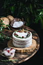Coconut mousse cake concepts