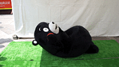 五月的陽光灑下五月的風吹起采集到kumamon 熊本熊