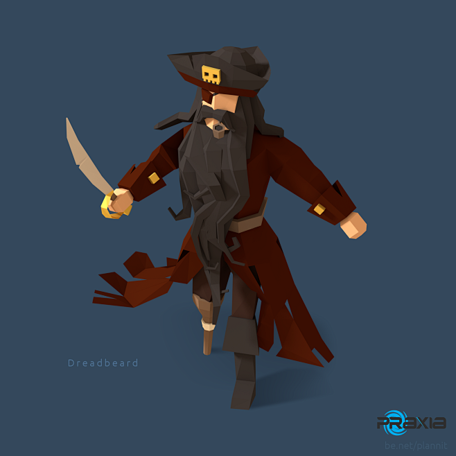 Pirates of the polyg...