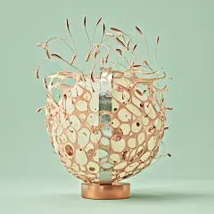 花瓣燕欲主页有图 (370)