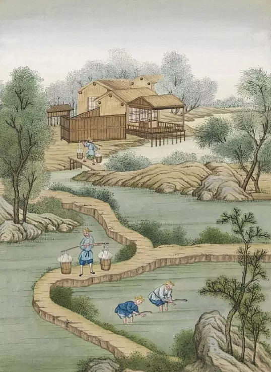 水彩画册里的竹制宣纸制作过程