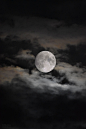 (5) Tumblr