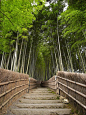 Bamboo path in Kyoto, Japan