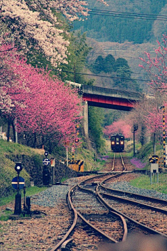 ♪隐采集到思路