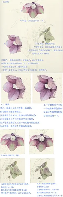 水彩---教程 - 高清图片，堆糖，美图壁纸兴趣社区