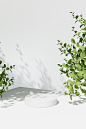 Summer podium for product design minimal display shadow overlay