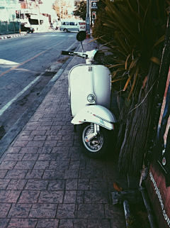 安然若橘_orange采集到我爱Vespa