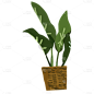 手绘-植物元素贴纸-盆栽1
