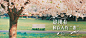 踏青banner