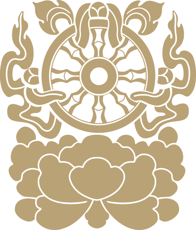 43