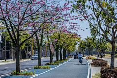 别墅花园设计师采集到道路