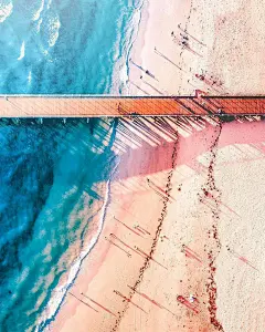 我的收藏--网易云阅读