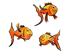 中国风古风手绘唯美水彩金鱼透明免抠PNG图案 装饰合成设计PS素材 (34)