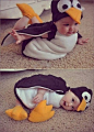 Az igazi Kinder Pingui | The real Kinder Pingui - the cutest baby cosplay :)