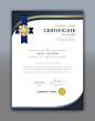 黄金印章 证书版式 排版格式 获奖证书设计AI ti427a1006