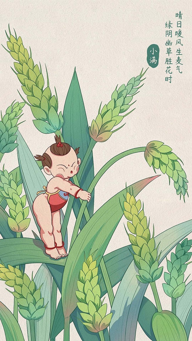 24节气｜小满

by 蛋壳有点菜

