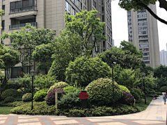 XingFuML采集到杭州龙湖春江彼岸实景照片