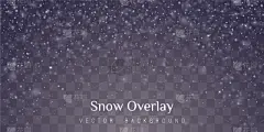 透明,背景聚焦,雪,分离着色,自然,幻想,干燥食品,庆祝,设计,装饰
