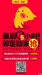 飞猪的照片 - 微相册