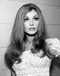 莎朗·塔特 Sharon Tate 1943-01-24 至 1969-08-09 罗曼·波兰斯基(丈夫) (26岁就死于邪教组织“曼森家族”的谋杀)