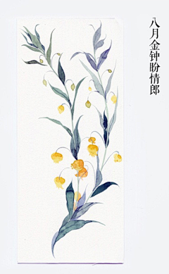 董兮玉采集到素材