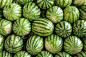 watermelon by V. Krauss on 500px