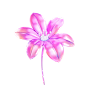 C4D_图片素材_包一片月光的画板-花瓣网