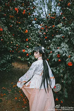 微雨独立，抚琴振衣，问梅消息。一声声，知向谁忆？浮生已如是，但愿人长情。