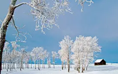 瑞雪兆丰年桌面壁纸