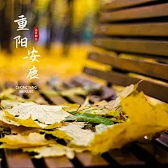 重阳节祝福极简风晒照plog模板