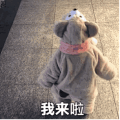 思麦琳-采集到小可爱们的聚集地
