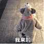 【图片】小萌娃表情包 超可爱_表情包吧_百度贴吧