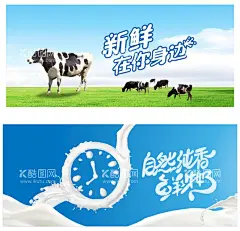 牛奶制品海报  - 源文件下载【酷图网】蓝天,草地,牛奶,鲜奶,酸奶,奶昔,牛奶素材,牛奶海报,牛奶广告,酸奶广告,酸酸乳,饮品海报,乳业宣传,进口牛奶,矢量牛奶海报,牛奶免扣元素,流淌的牛奶,牛奶杯,牛奶盒,牛奶食品,酸奶促销,鲜奶订购,蒙牛,伊利,纯牛奶,单页,宣传单,横幅,banner,飞溅的牛奶,牛奶展板,纯牛奶海报