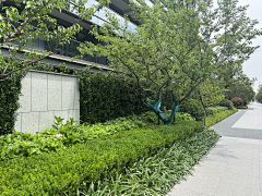 我他她它你采集到Landscape|围墙