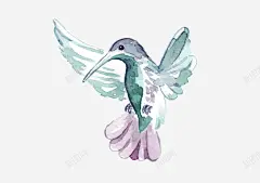 卡通手绘喜鹊装饰插画矢量图高清素材 网页 免费下载 页面网页 平面电商 创意素材 png素材