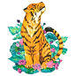 老虎与莲花水彩插画矢量图素材