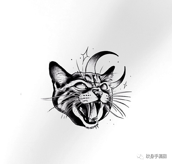 猫头纹身图案手稿图片