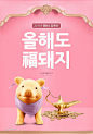 金猪金福袋丝带送福新年猪年简约海报