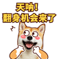 小狗期待可爱萌宠动态表情包