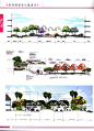 景观细部集成3下休闲区平面图剖面图景观手绘设计园林方案设计-淘宝网