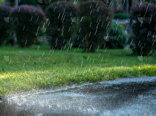 夏日公园里的雨。雨点落在铺好的小路上。