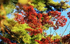 神户六甲山自然风景桌面高清壁纸桌面壁纸4