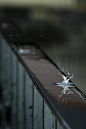 Raindrop | With sunshine moon and rain