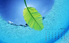2009年8月壁纸 #采集大赛#