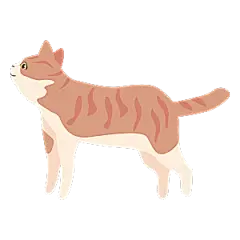 可爱卡通宠物猫咪插画手绘元素