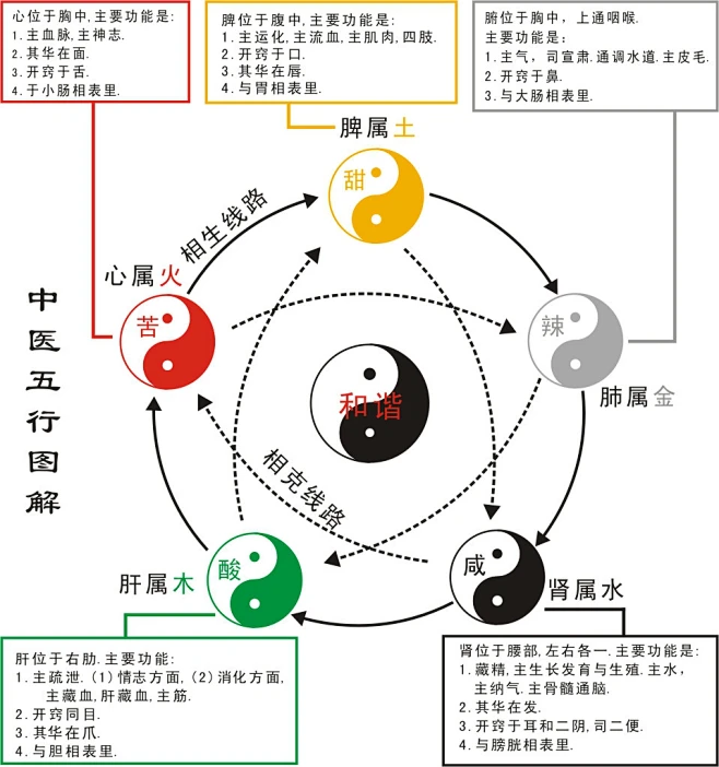 中医五行图-花瓣网