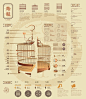 鸟笼Analysis of traditional Chinese bird cage