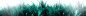 草丛